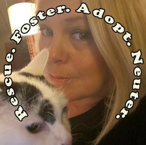 Meet your Posher, Claudia